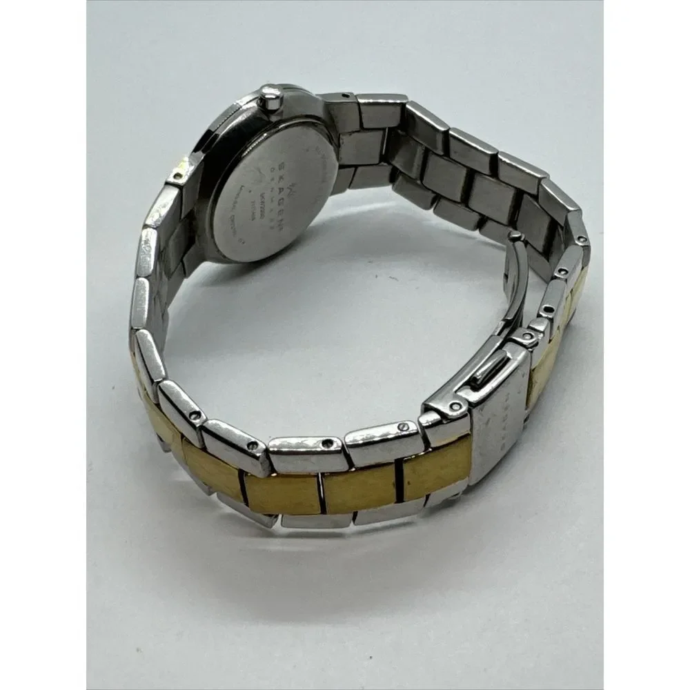 Skagen SKW2090 Women's Two Tone Stainless Steel Analog Dial Quartz Watch JNA966
